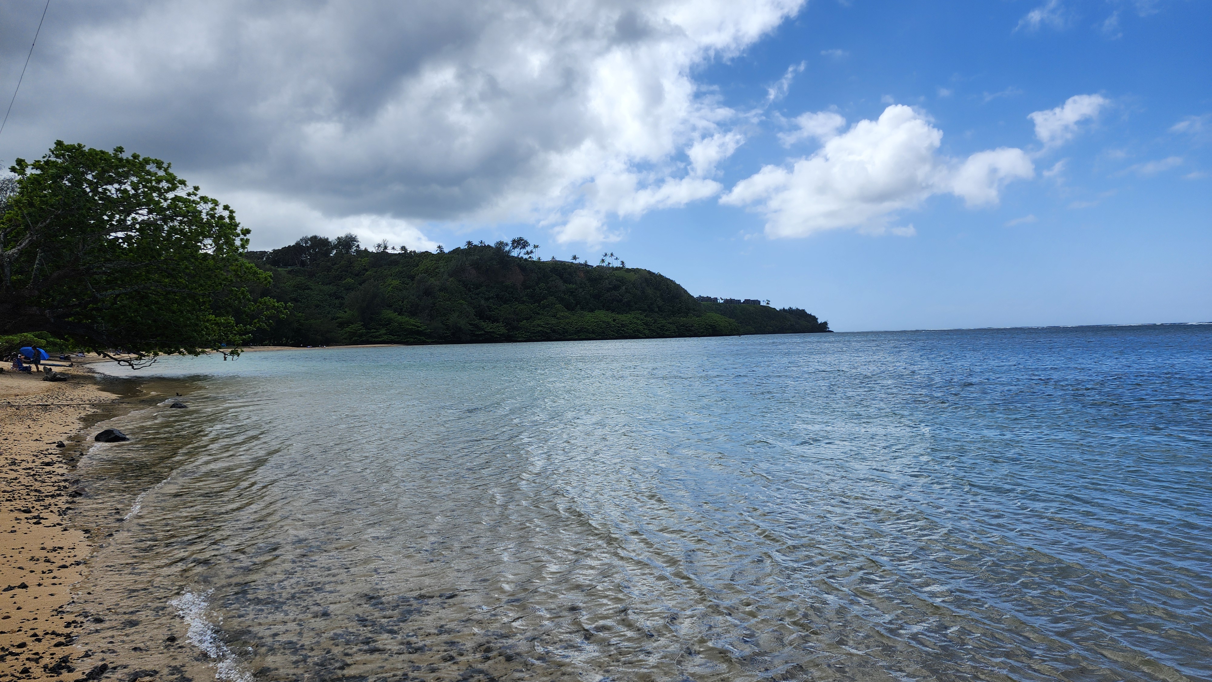 hawaii/hawaii_quinn_1.jpg