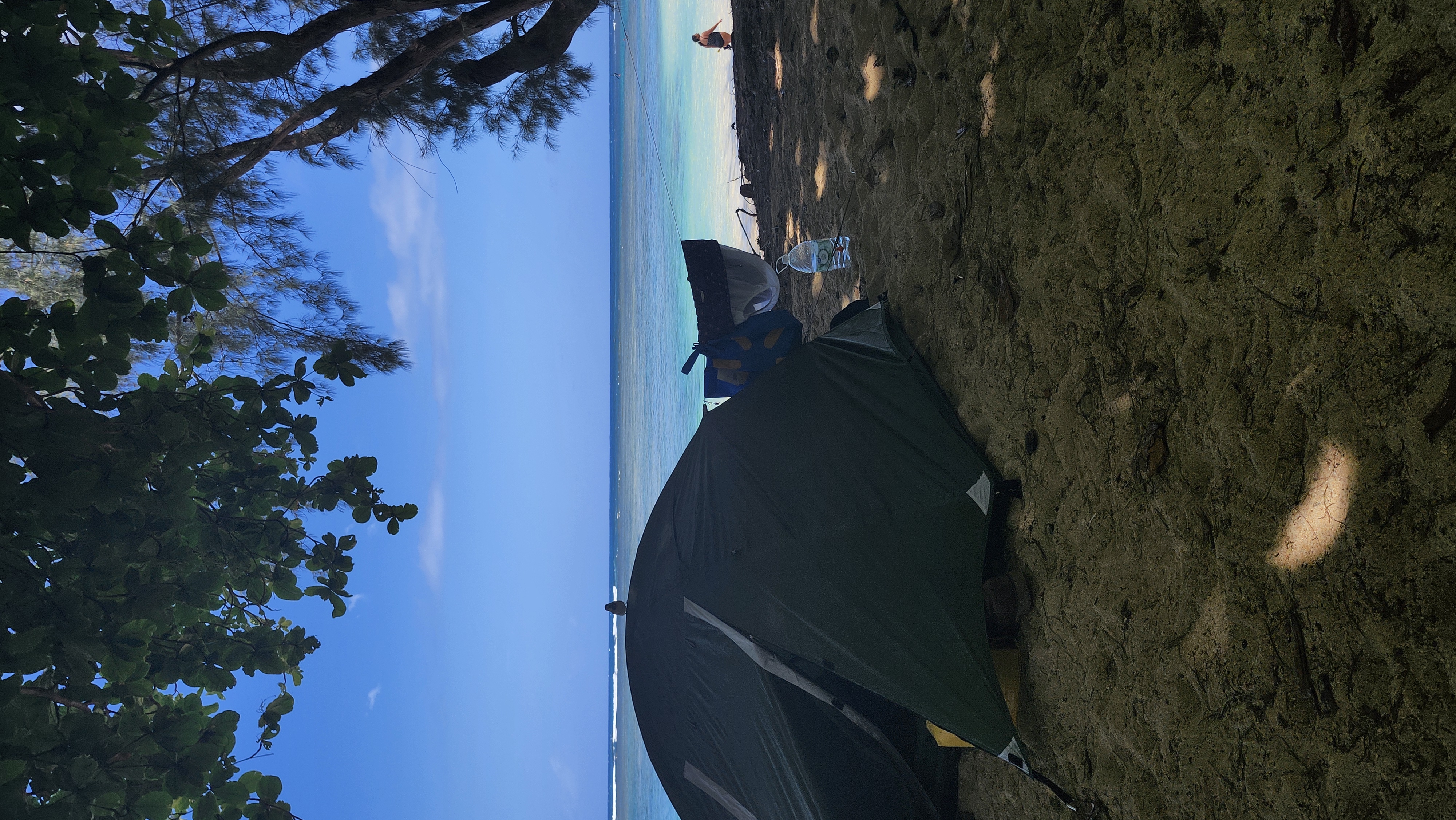 hawaii/hawaii_quinn_5.jpg