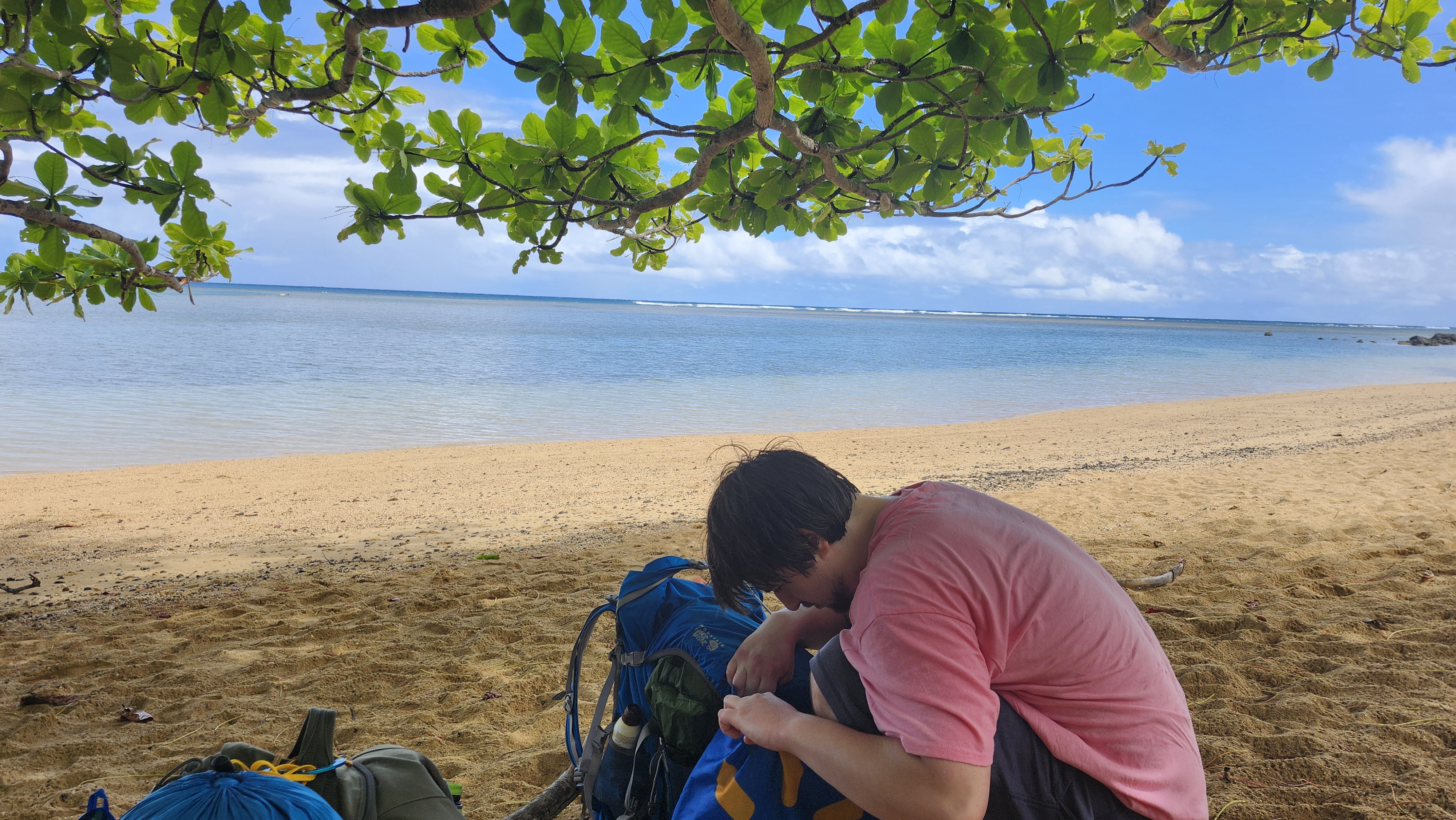 hawaii/hawaii_quinn_8.jpg